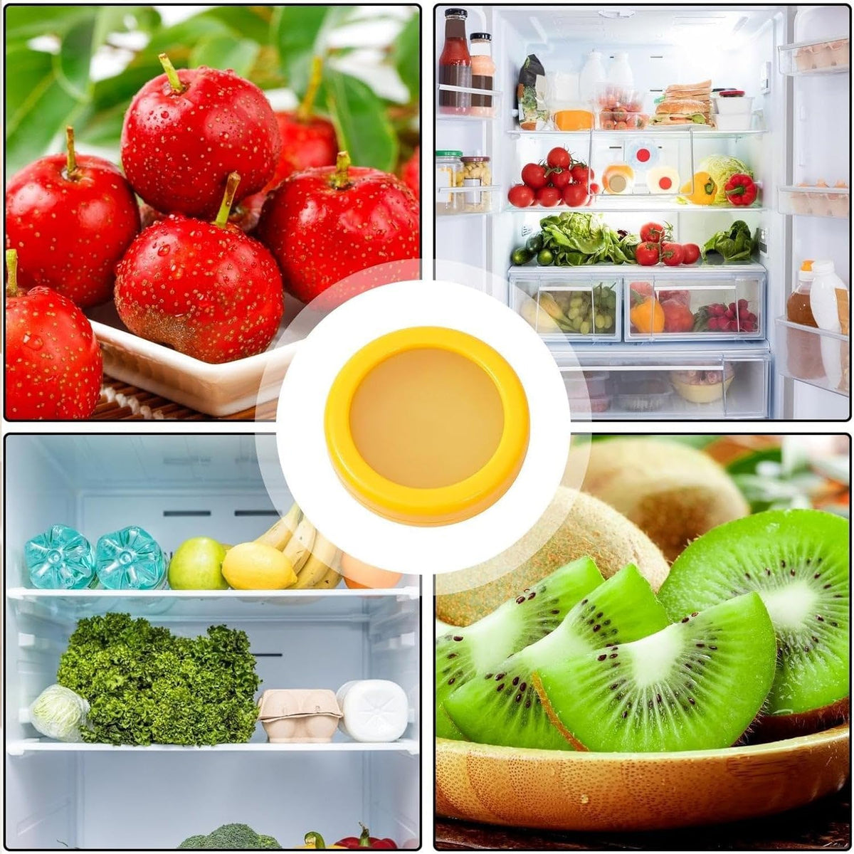 Vegetable Container Premium Fruits Saver Keeper (MV-145)