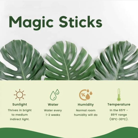 Plant Grow Fertilizer Sticks for Indoor & Outdoor Plants  (MV-161)